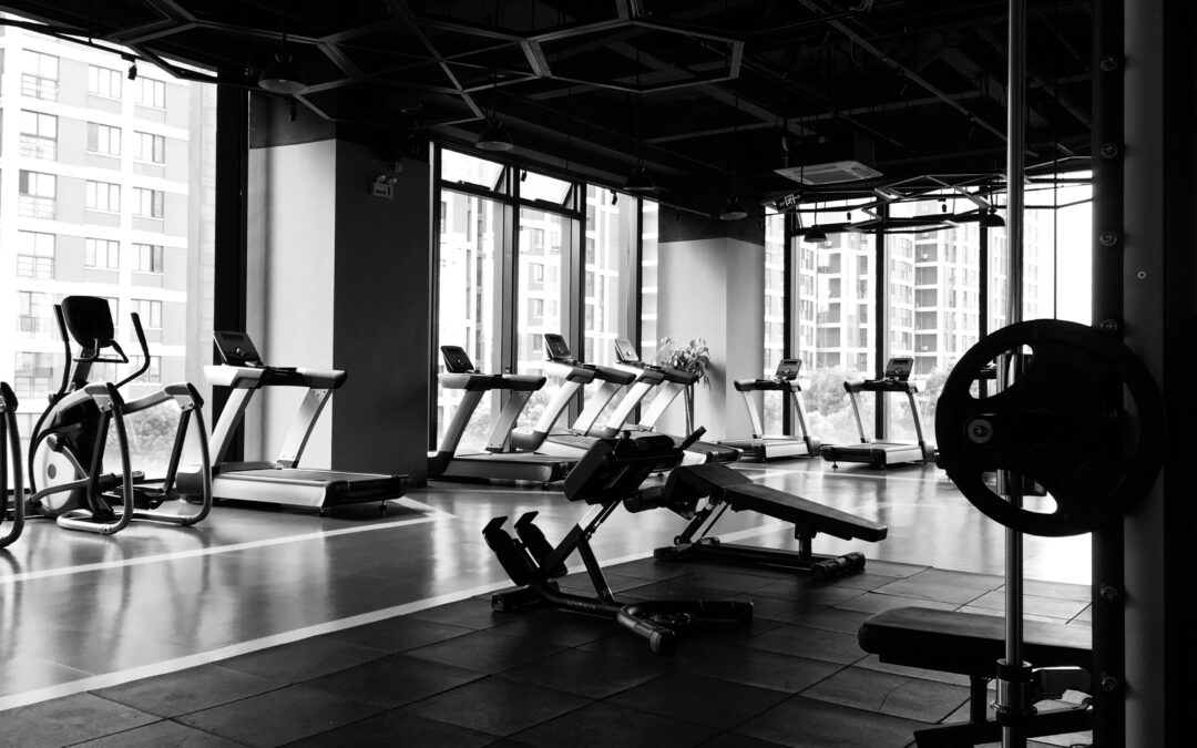 Feedback Fitness: Sculpting Resilience at the Feedback Gym